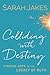 Colliding With Destiny: Finding Hope In The Legacy Of Ruth by Sarah Jakes (2014-09-02)
