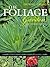The Foliage Garden: Leaf Te...