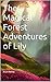 The Magical Forest Adventures of Lily by Arun Mehta