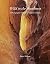 Wild in the Southwest - A P...