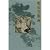 Ming portraits