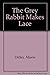 Little Grey Rabbit makes lace (Little Grey Rabbit books series)