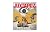 Juxtapoz Magazine Issue #19...