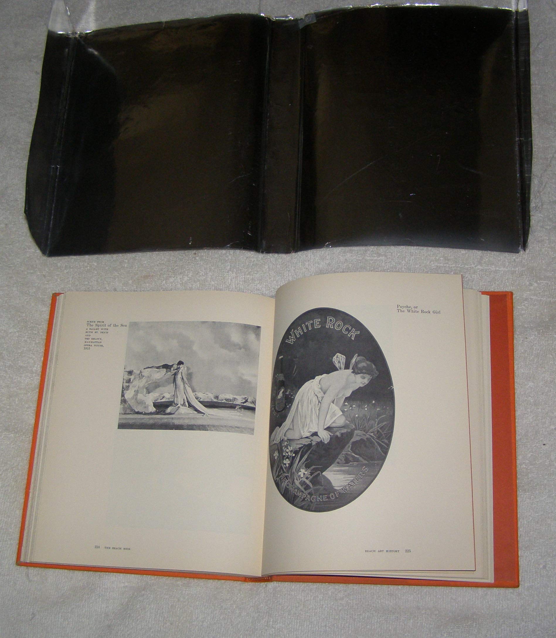 The Beach Book (Hardcover)
