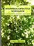 The Ayurveda Lifestyle Workbook by Judith H. Morrison