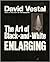 The Art of Black and White Enlarging by David Vestal