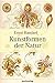 Kunstformen der Natur by Ernst Heinrich Haeckel (2004-09-30)