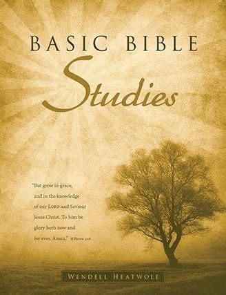 Bible Studies for New Believers (Paperback)