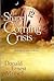 The Shape of the Coming Crisis by Donald Ernest Mansell