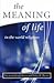Meaning of Life in the Worl...