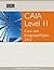 CAIA Level II by Jeanne Miller