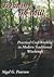 Treading the Mill: Practical CraftWorking in Modern Traditional Witchcraft by Nigel G. Pearson (2007-10-19)