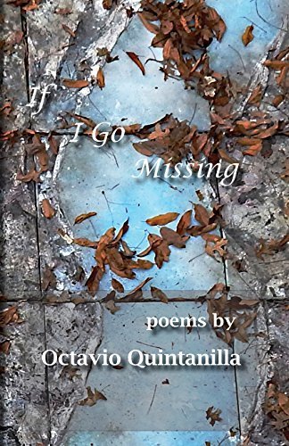 If I Go Missing by Quintanilla, Octavio (April 10, 2014) Paperback