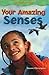 Your Amazing Senses (Sadlie...