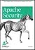 APACHE SECURITY