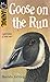 Goose on the Run