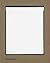 Bailey's Democracy by David Bailey (2005-11-07)