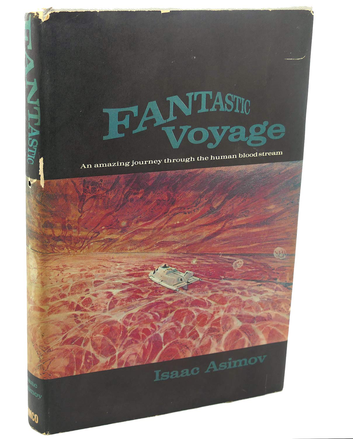 Fantastic Voyage