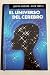 El universo del cerebro