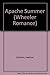 Apache Summer by Heather Graham (2003-08-02)