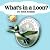 What's in a Loon?: Adventur...
