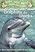 Dolphins and Sharks: A Nonfiction Companion to Dolphins at Daybreak (Magic Tree House Research Guide) by Mary Pope Osborne (2009-04-09)