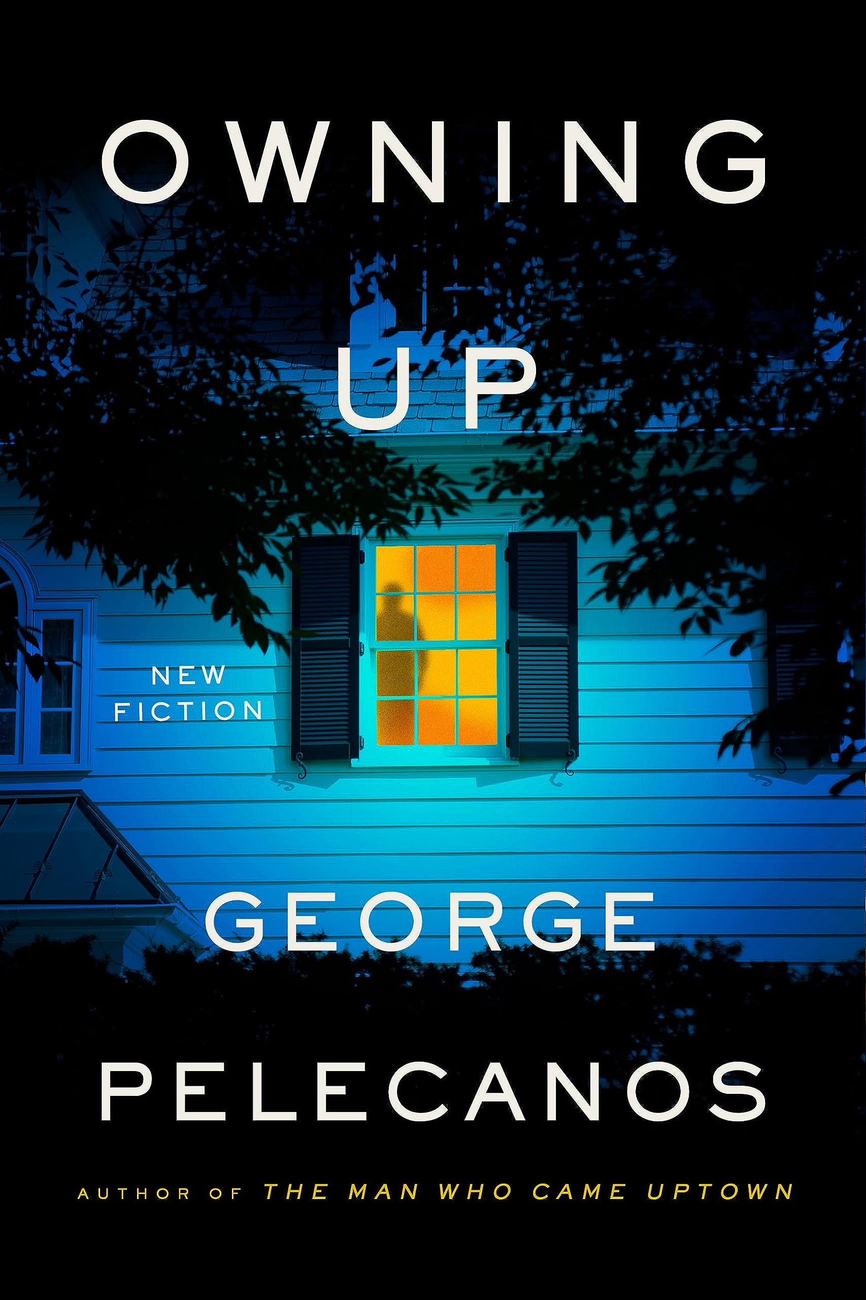 Owning Up (Hardcover)