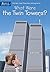 What Were the Twin Towers? ...