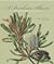 A Banksia Album: 200 Years of Botanical Art