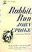 Rabbit, Run