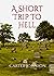 A Short Trip To Hell by Carter  Johnson