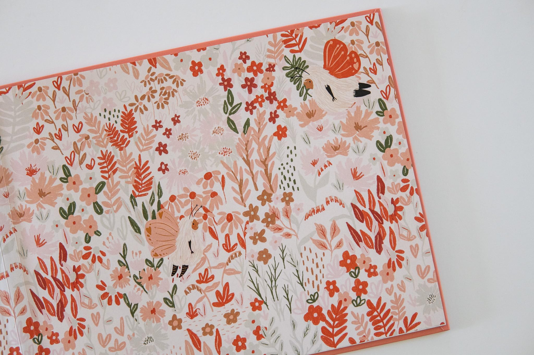 A Snuggle Bug's Guide to Hearts in the Wild (Hardcover)