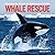 Whale Rescue: Changing the Future for Endangered Wildlife (Firefly Animal Rescue) by Erich Hoyt (2005-03-05)