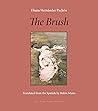 The Brush by Eliana Hernández-Pachón The Brush by Eliana Hernández-Pachón