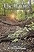The Ravine: From Glacier's to a City's Rise and Decline