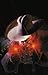 Shadow Master Series Volume 1 (Paperback) - Common