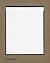 Bailey's Democracy by David Bailey (7-Nov-2005) Hardcover