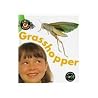 Grasshopper Grasshopper