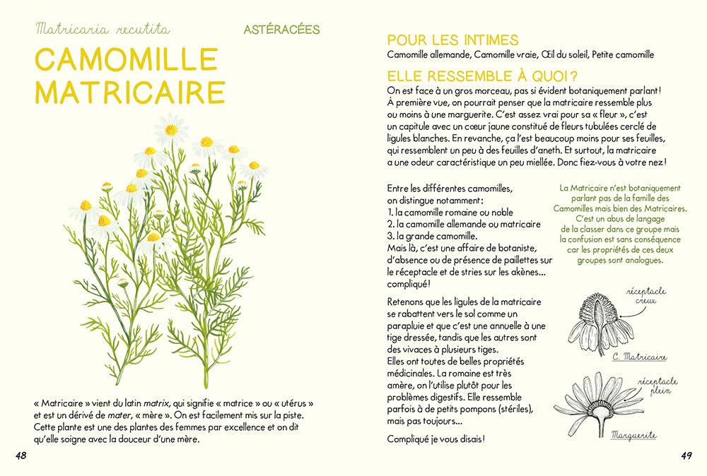 Mini-guide des plantes qui soignent (Paperback)