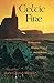 Celtic Fire: The Passionate Religious Vision of Ancient Britain and Ireland (1991-08-01)