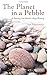 The Planet in a Pebble: A journey into Earth's deep history by Jan Zalasiewicz (2012-05-04)