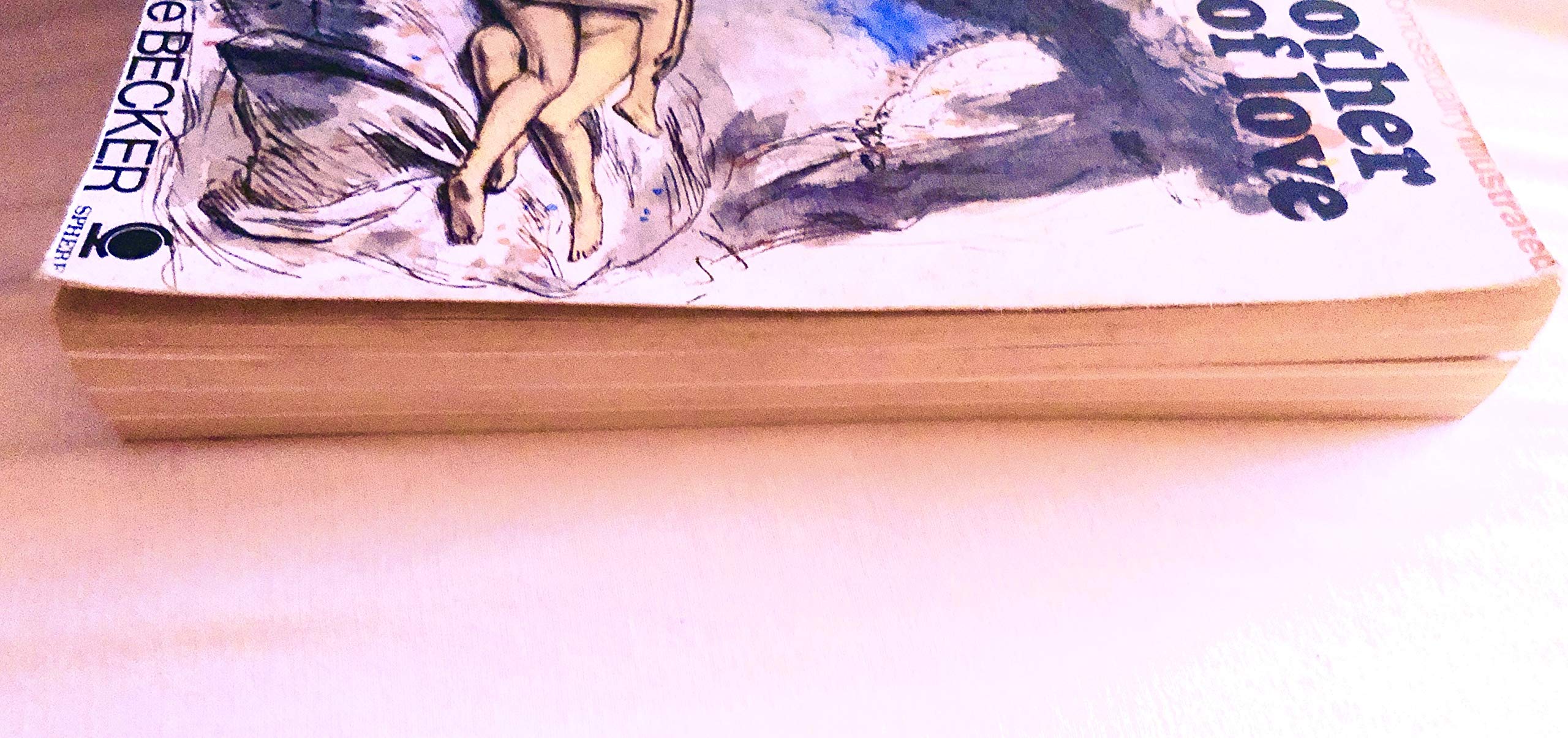 The Other Face of Love (Paperback)