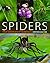 Spiders: the Ultimate Predators by DALTON STEPHEN (2008-12-24)