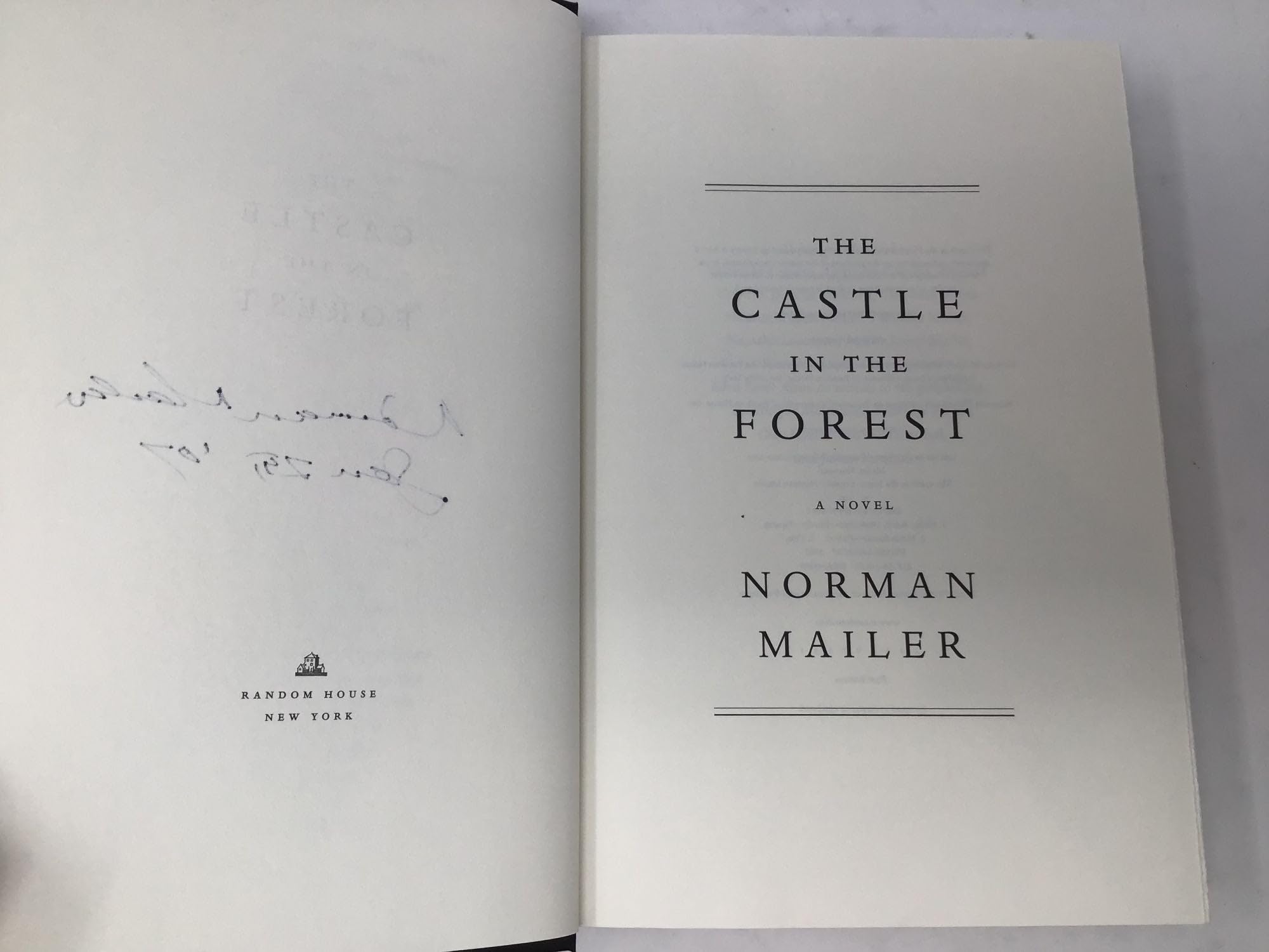 The Castle in the Forest