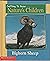 Getting To Know Nature's Children - Bighorn Sheep & Prairie Dogs