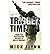 By Flynn, Mick Trigger Time Paperback - May 2012