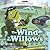 Wind in the Willows (BBC Audio) by Grahame, Kenneth on 07/08/2006 New edition