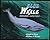 Blue Whale by Joseph J. Cook