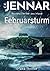 Februarsturm: Ein mystischer Thriller aus Irland (German Edition)