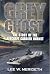 Grey Ghost: The Story of the Aircraft Carrier Hornet by Lee Meredith (2003-11-24)